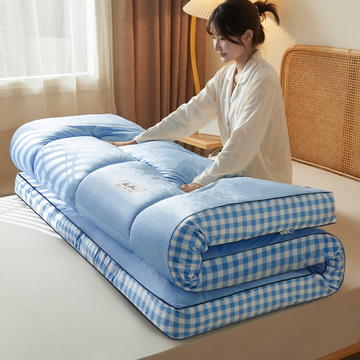 2023新款A类水洗棉成人立体软床垫