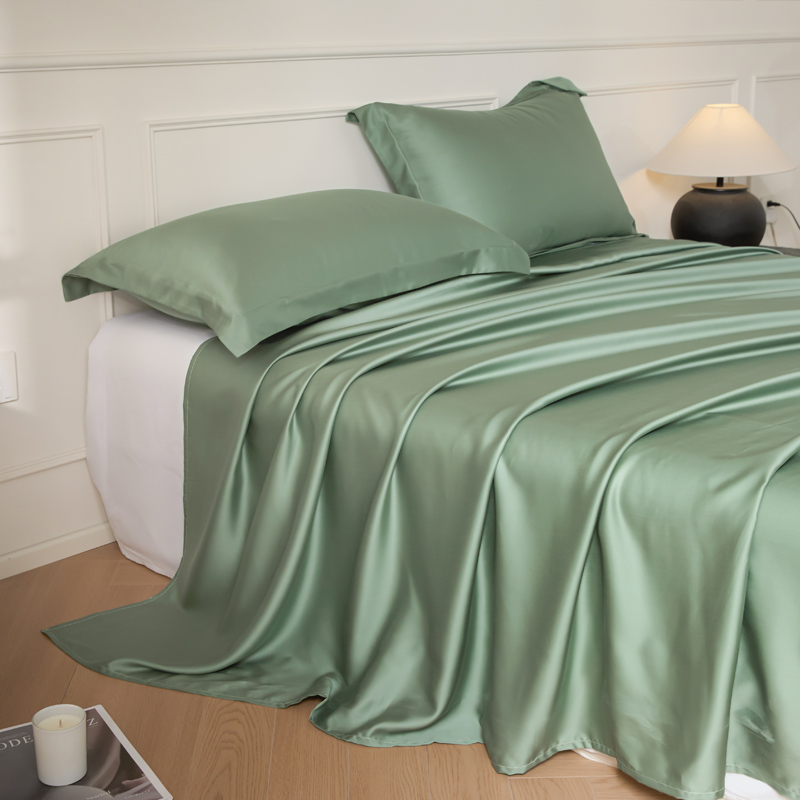 2025新款纯色兰精天丝棉单床单-场景1