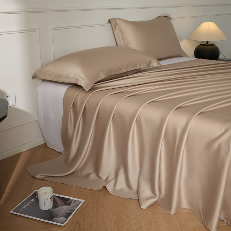 2025新款纯色兰精天丝棉单床单-场景1