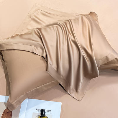 2023新款兰精天丝TM纯色系列单品枕套 48*74cm枕套一对 单枕套-可可棕