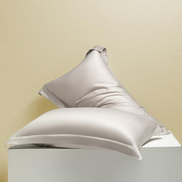 2024新款莱赛尔兰精天丝棉纯色单品及套件--单枕套