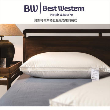 Best Western枕头 枕芯 贝斯特韦斯特酒店枕