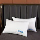 2022新款三防枕头枕芯系列 48*74cm/只
