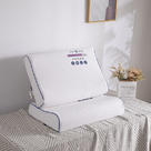 2022新款蜂窝乳胶枕枕芯系列 40*60cm*10/12cm白色立体