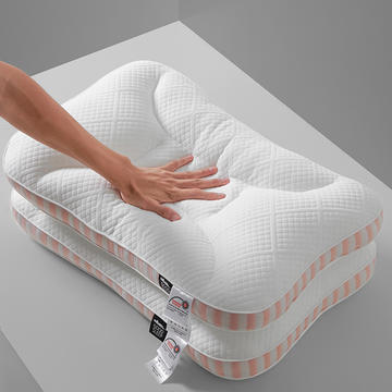 2023新款SPA深睡记忆枕护颈枕 枕头枕芯