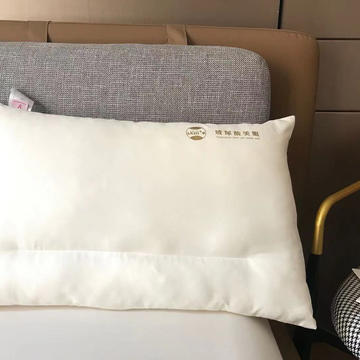 2021新品玻尿酸美眠枕头枕芯