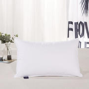 羽绒枕鹅绒枕羽绒被羽绒床垫全棉高密枕枕头枕芯（48X74） 白色