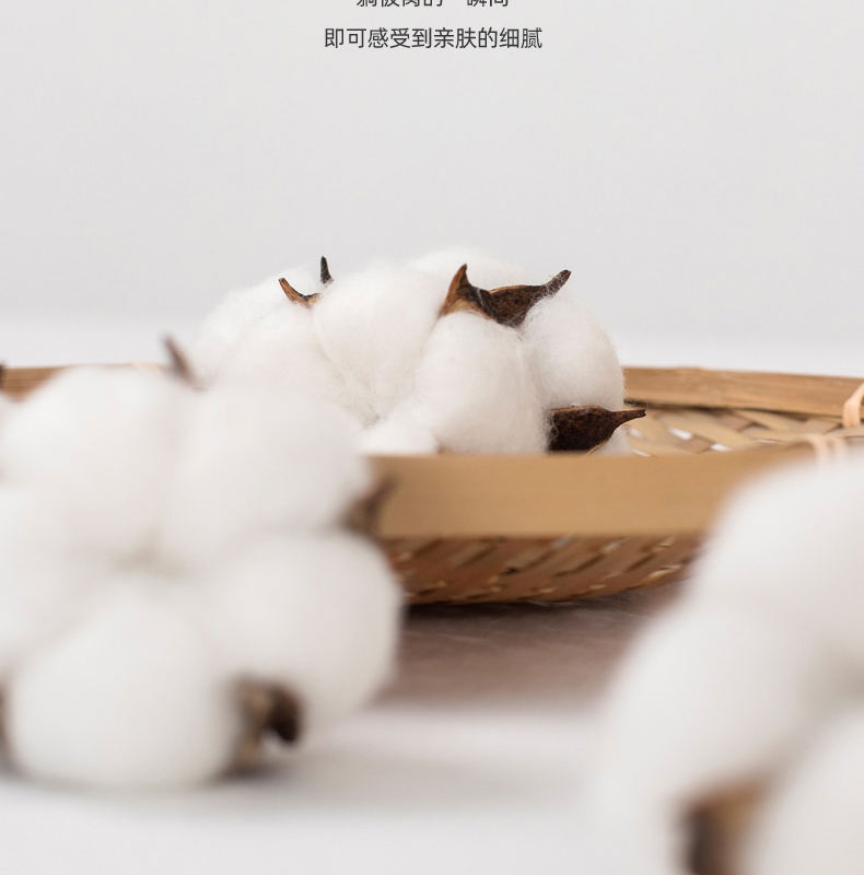 TB粉_09.jpg