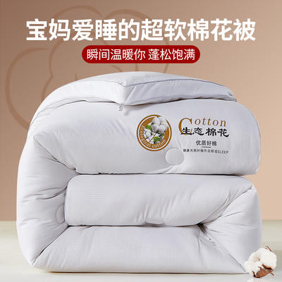2023新款直播热款立体亲肤棉棉花被冬被 被子被芯 150x200cm 6斤 棉花被-白色
