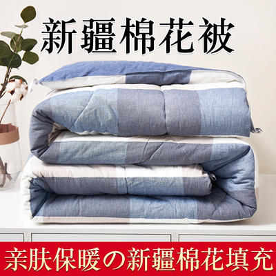 2021新款水洗棉棉花被子被芯 90x200cm 5斤 白蓝格