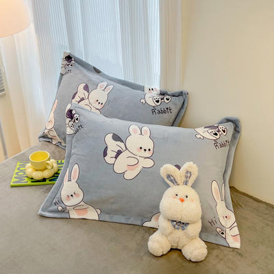 2023新款时尚风印花牛奶绒系列单枕套 48*74cm一对 兔仙子