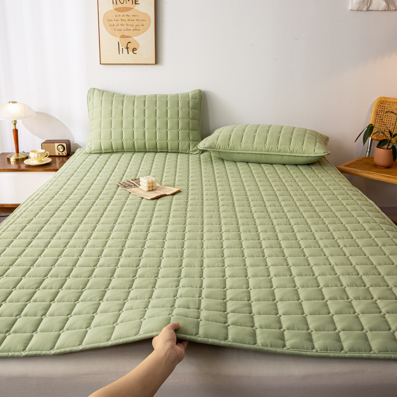 2023新款A类加厚原棉双面可用床垫子 80*190cm 果绿