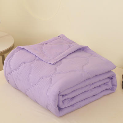2024新款纯色水洗棉夏被 180x200cm 高贵紫