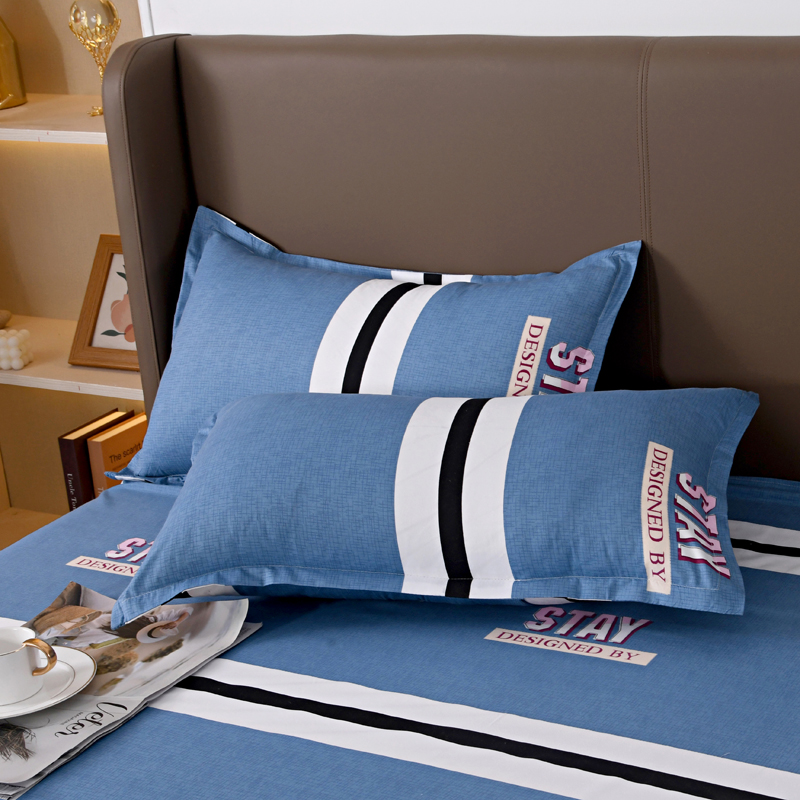 2023新款第一批芦荟棉枕套化纤枕套单只一对 48cmX74cm/对 土耳其蓝