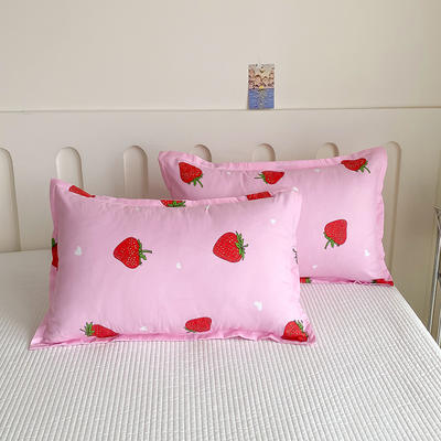 2024新款第二批芦荟棉枕套化纤枕套单只一枕套2 48cmX74cm/对 草莓派