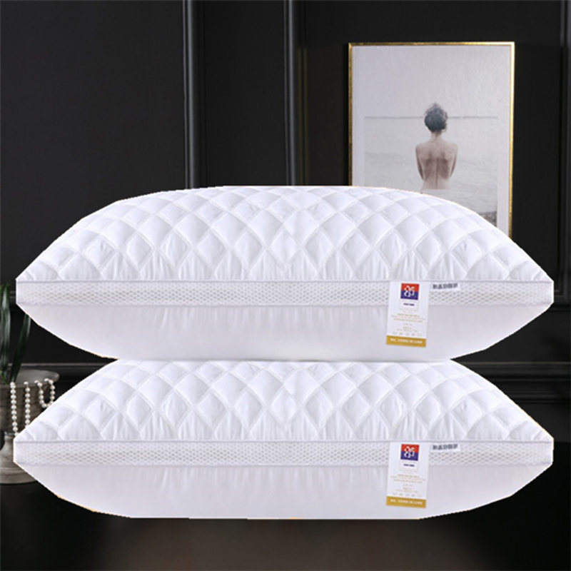 2021新款白网绗绣枕  （枕头枕芯）（48*74cm/只） 低枕700克