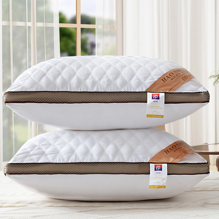 2021新款咖网绗绣枕  （枕头枕芯） （48*74/只） 咖网立体绗绣低枕700克