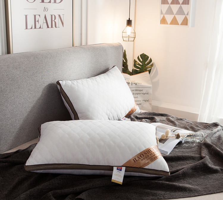 2021新款咖网绗绣枕  （枕头枕芯） （48*74/只） 咖网立体绗绣 高枕900克