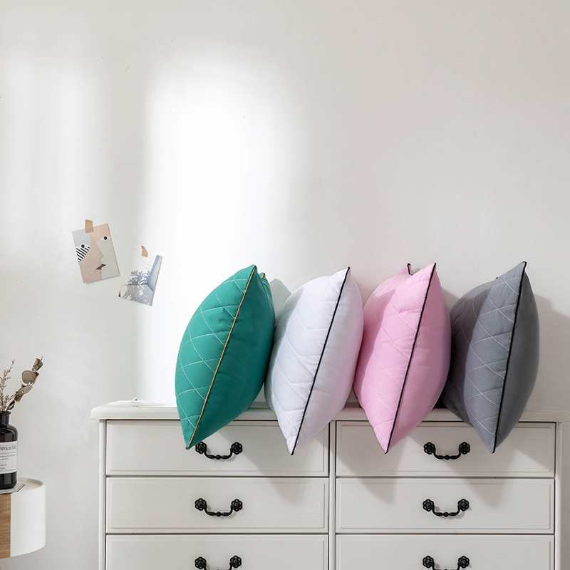 2021新款四色绗绣枕 (枕头枕芯） （48*74/只） 粉色低枕600克