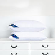 2021新款希尔顿酒店枕头 （枕头枕芯） （48*74/只） 蓝色高枕