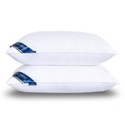 2021新款希尔顿酒店枕头 （枕头枕芯） （48*74/只） 白色 中枕