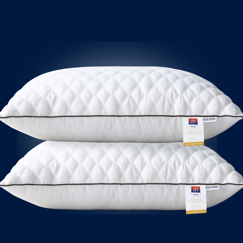 2021新款白色单边绗绣枕  （枕头枕芯） 白色单边绗绣中枕700克