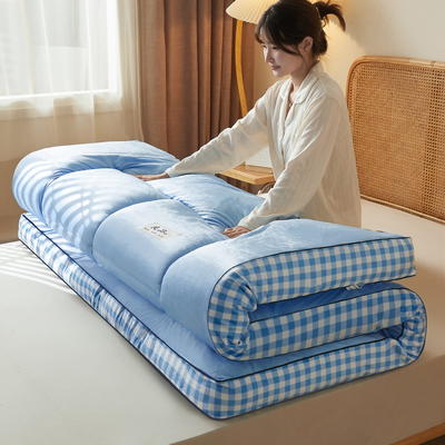 2023新款A类水洗棉加厚立体软床垫 1.0m（厚10cm） 蓝格边-天蓝色