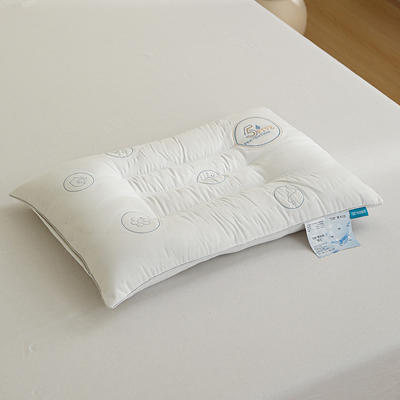 2024新款全棉5防绗缝枕头枕芯 48*74cm/只 5防绗缝-低枕