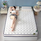 2024新款高端简约乳胶抗压记忆棉床垫软垫家用卧室床垫--白边 90*190cm 10公分 花瓣白