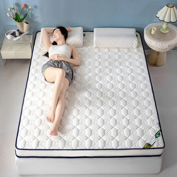 2024新款高端简约乳胶抗压记忆棉床垫软垫家用卧室床垫--白边
