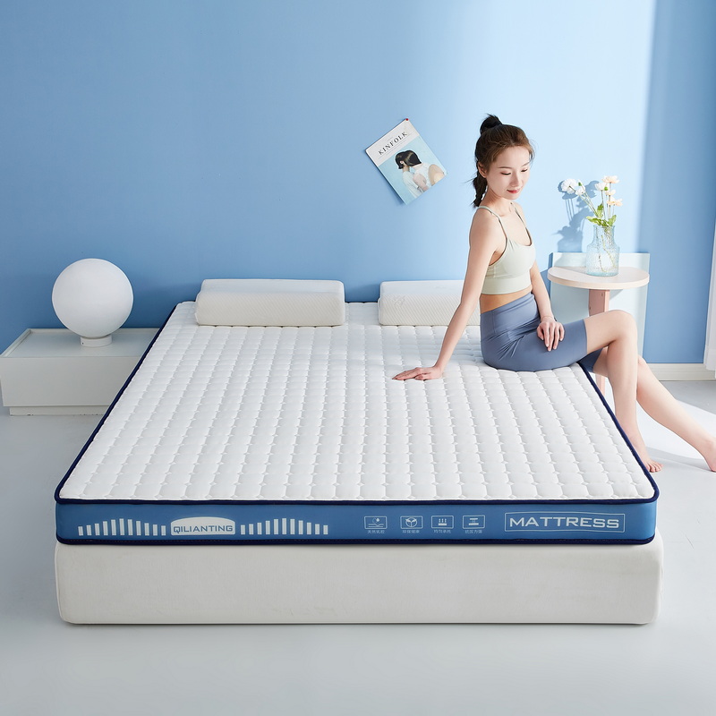 2023新款A类牛奶丝乳胶记忆棉床垫双人床垫 0.9*1.9m（厚度5cm） 几何-海因蓝