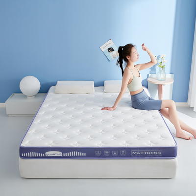 2023新款A类牛奶丝乳胶记忆棉床垫双人床垫 0.9*1.9m（厚度5cm） 繁星-凝夜紫