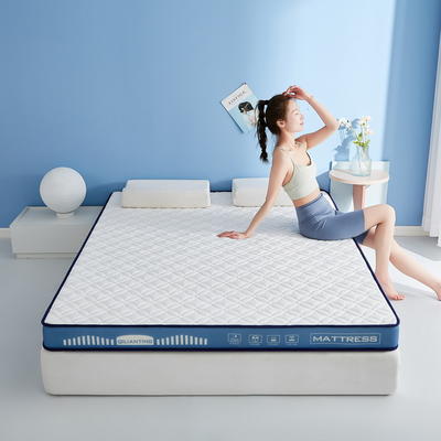 2023新款A类牛奶丝乳胶记忆棉床垫双人床垫 0.9*1.9m（厚度5cm） 四叶-海因蓝