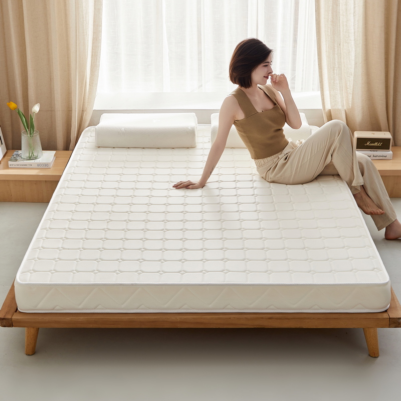 2024新款椰棕乳胶床垫记忆棉床垫系列-成人款 0.9*1.9m（厚度5cm） 面包格白-海绵款