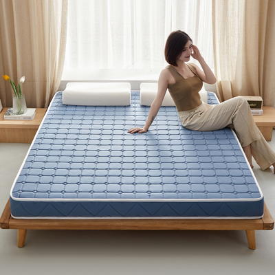 2024新款椰棕乳胶床垫记忆棉床垫系列-成人款 0.9*1.9m（厚度5cm） 面包格蓝-海绵款