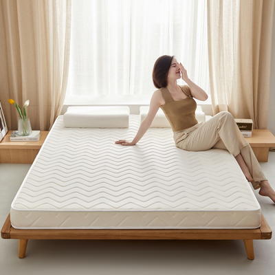 2024新款椰棕乳胶床垫记忆棉床垫系列-成人款 0.9*1.9m（厚度5cm） 曲线白-海绵款