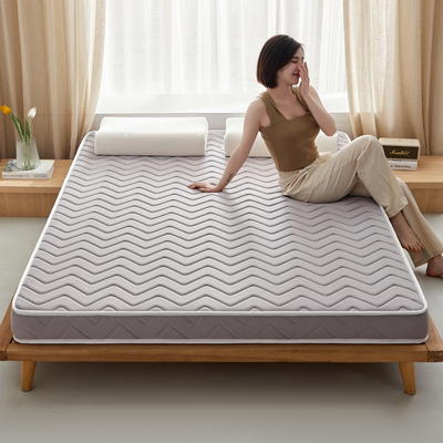 2024新款椰棕乳胶床垫记忆棉床垫系列-成人款 0.9*1.9m（厚度5cm） 曲线灰-海绵款