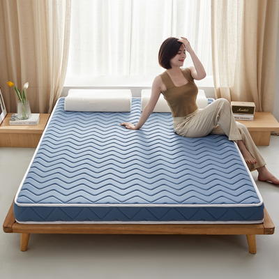 2024新款椰棕乳胶床垫记忆棉床垫系列-成人款 0.9*1.9m（厚度5cm） 曲线蓝-海绵款