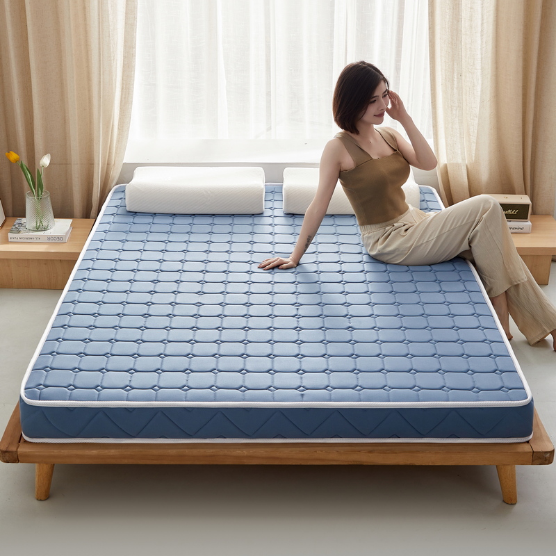 2024新款椰棕乳胶床垫记忆棉床垫系列-成人款 0.9*1.9m（厚度5cm） 面包格蓝-棕垫款