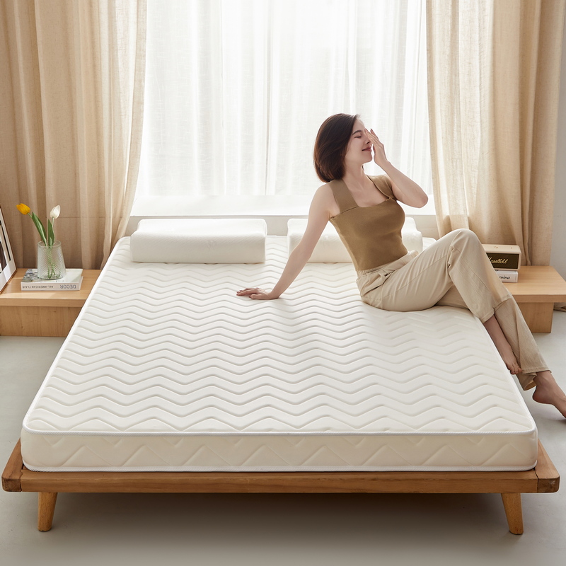 2024新款椰棕乳胶床垫记忆棉床垫系列-成人款 0.9*1.9m（厚度5cm） 曲线白-棕垫款