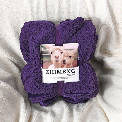 2023新款羊羔绒毛毯纯色马卡龙盖毯冬季双层加厚保暖毯子 150*200cm 纯紫