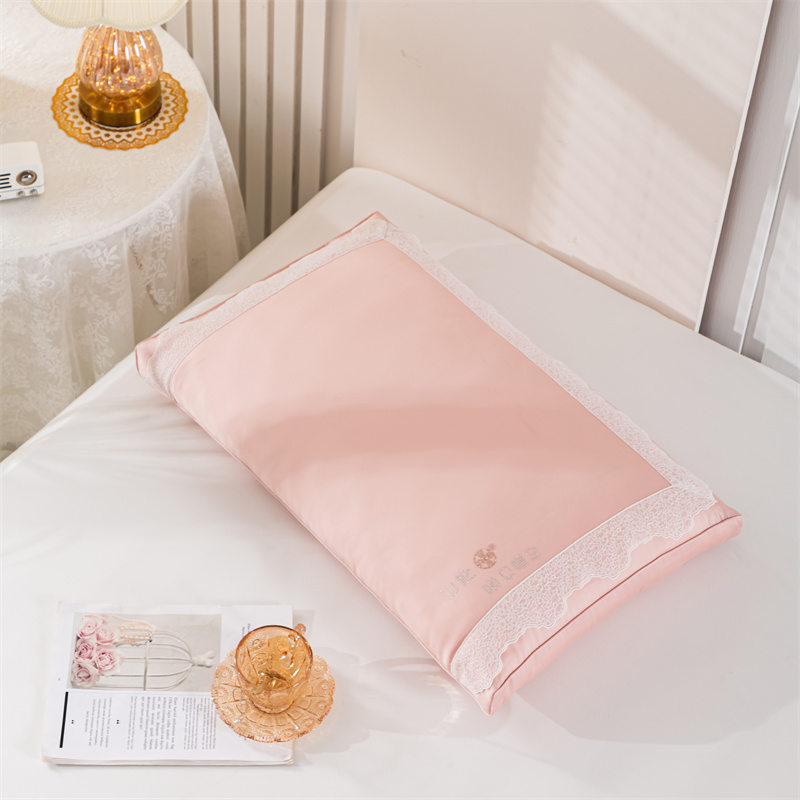 2023新款韩式蛋白蕾丝枕头枕芯 900g 粉色 48*74cm/只