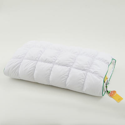 2024新款酥芯菠萝包慢弹记忆枕一枕多用外套可以当作小毯子来使用隐形拉链 48*74cm/只 白色