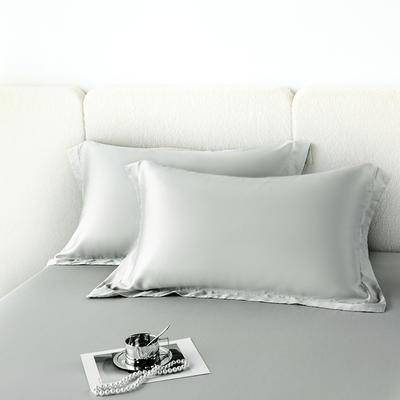 2023新款经典马卡龙色系进口兰精天丝系列单品枕套 48x74cm枕套一对 白银灰