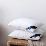 2021新款各种颜色pillow hllton五星级酒店枕芯枕头 白色-低枕
