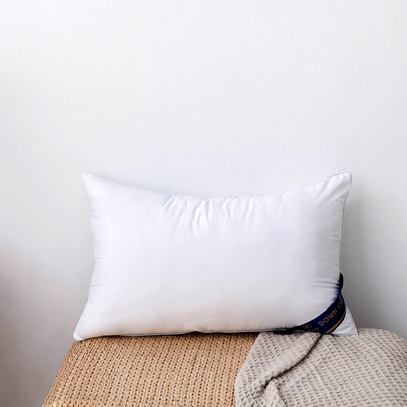 2021新款各种颜色pillow hllton五星级酒店枕芯枕头 白色-500g