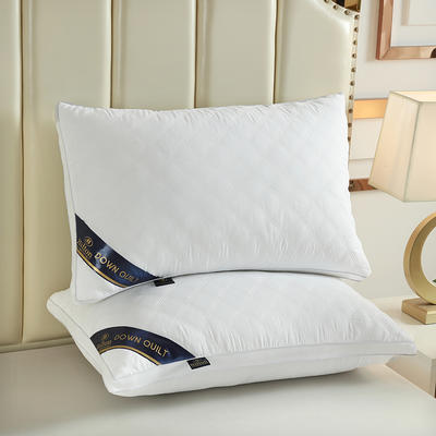 2021新款希尔顿立体绗缝三线格枕芯羽丝绒枕头48*74cm 白色-900g