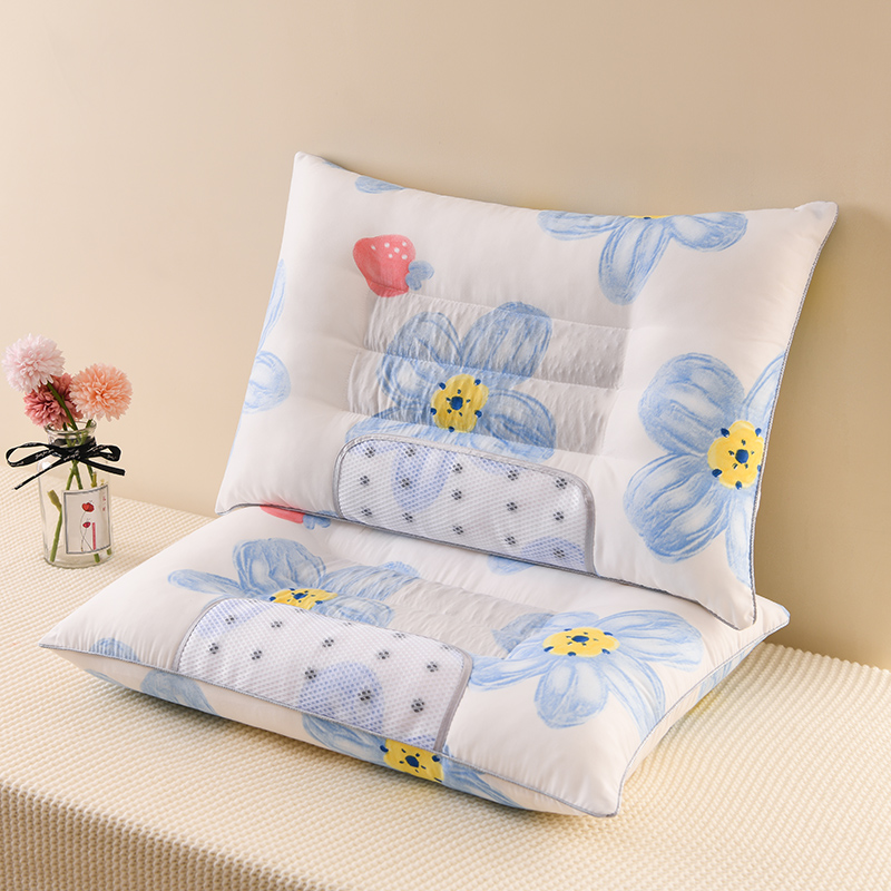 2022新款保健枕枕头枕芯系列42*65cm/个 春暖花开