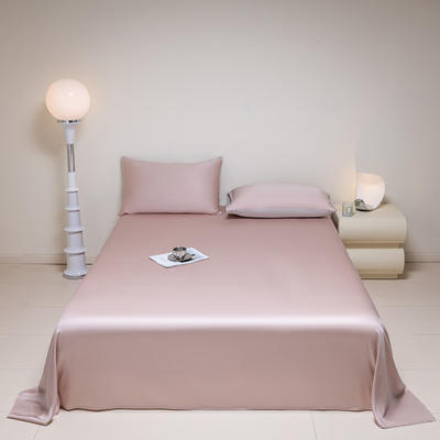 2024新款莱赛尔兰精天丝柔系列纯色单床单--棚拍图 160*230cm单床单 柔-玉桂粉
