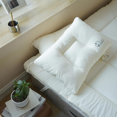 2024新款A类原棉日式酒店系列-枕芯 40*60水洗枕学生枕（7-14岁）